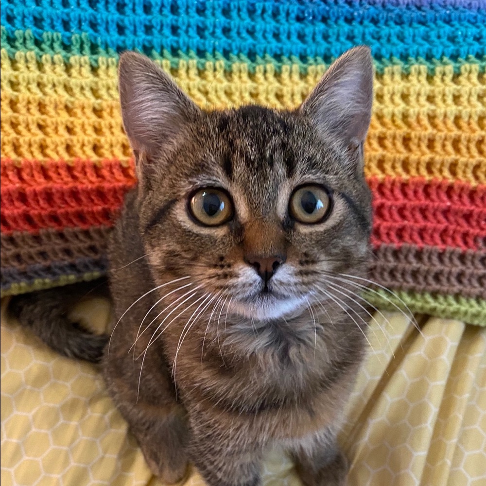 Meet your Posher, Sarah